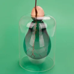 New Avocado Seed Glass Vase Tableware Brands