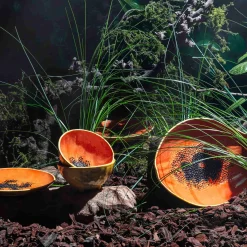 Online Tropical Fruits Papaya Small Bowl, 14x14cm Crockery & Dinnerware|Bowls