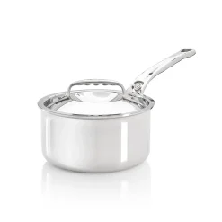 Hot Affinity Stainless Steel Saucepan with Lid French Ingredients|Pots & Pans