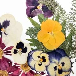 New Edible Dried & Pressed Flower & Leaf Mix, 20 pieces Ingredients Brands|Baking Ingredients