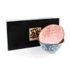 New Japanese Bowl Set Tableware Brands|Japanese Ingredients