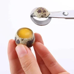 Outlet Japanese Quail Egg Scissors Japanese Ingredients|Kitchen Tools & Utensils