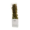 Outlet Greek Dried Oregano Branches, 40g Greek Ingredients|Herbs & Spices