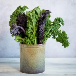 Best Lagoa Kitchen Utensils Jar Tableware Brands|Kitchen Tools & Utensils