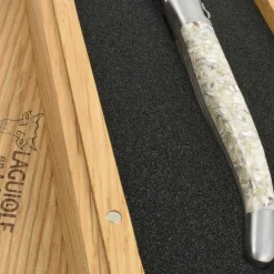 Best Oyster Knife, Oyster Shell Handle French Ingredients|Kitchen Knives