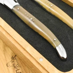 Clearance Set of 2 Steak Knives, Solid Horn French Ingredients|Kitchen Knives