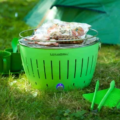 Clearance Standard, Green Food Smokers|Bbq & Smoking