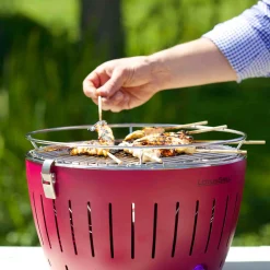 Best Standard, Purple Food Smokers|Bbq & Smoking