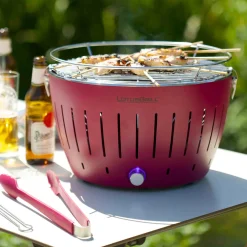 Best Standard, Purple Food Smokers|Bbq & Smoking