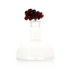 Best Grape Decanter, 1.3 Litres Jugs & Bottles|Tableware Brands