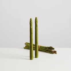 Online Set of 4 Asparagus Candles Table Setting|Tableware Brands