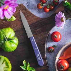 New No 113 Violet Beechwood Handle Serrated Paring Knife, 10cm Kitchen Knives