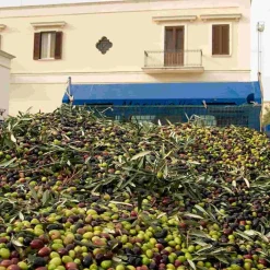 Hot Puglian Extra Virgin Olive Oil in Rainbow Striped Ceramic Bottle, 500ml Ingredients Brands|Italian Ingredients