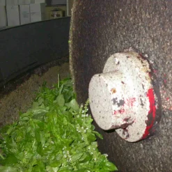 Puglian Olive Oil with Basil in Terracotta Bottle, 250ml Ingredients Brands|Italian Ingredients