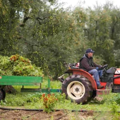 Best Puglian Olive Oil with Chilli in Terracotta Bottle, 250ml Ingredients Brands|Italian Ingredients