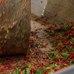 Best Puglian Olive Oil with Chilli in Terracotta Bottle, 250ml Ingredients Brands|Italian Ingredients