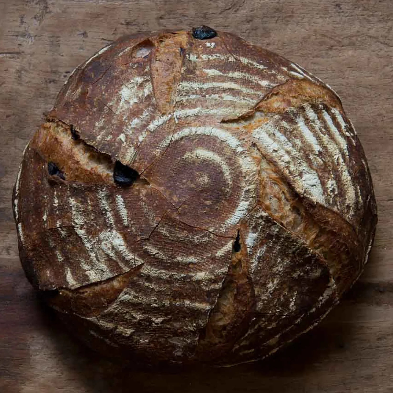 Clearance Sourdough Bread Making Kit Baking Supplies & Equipment|Recipe Kits