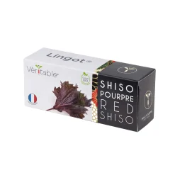 Asian Lingot Insert, Organic Red Shiso Tableware Brands|Japanese Ingredients