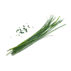Asian Lingot Insert, Organic Chinese Chives Tableware Brands|Chinese Ingredients