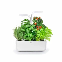 Classic Indoor Herb Garden Tableware Brands|Kitchen Electricals