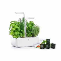 Classic Indoor Herb Garden Tableware Brands|Kitchen Electricals