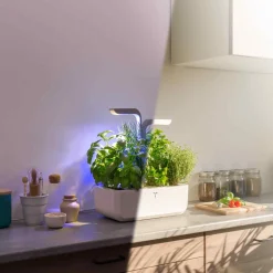 Classic Indoor Herb Garden Tableware Brands|Kitchen Electricals