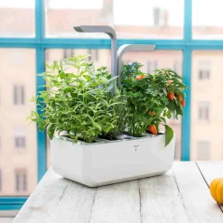 Classic Indoor Herb Garden Tableware Brands|Kitchen Electricals
