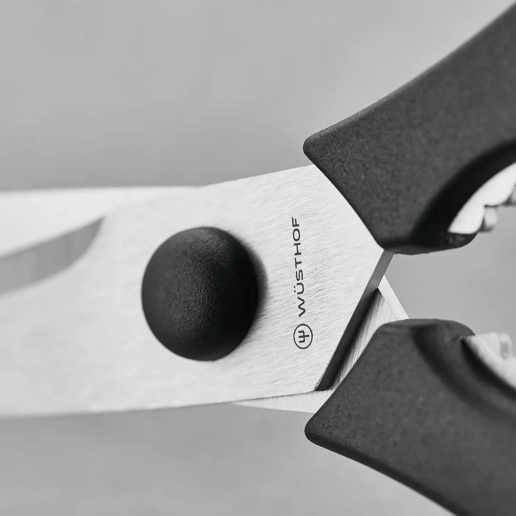 Kitchen Scissors Kitchen Tools & Utensils