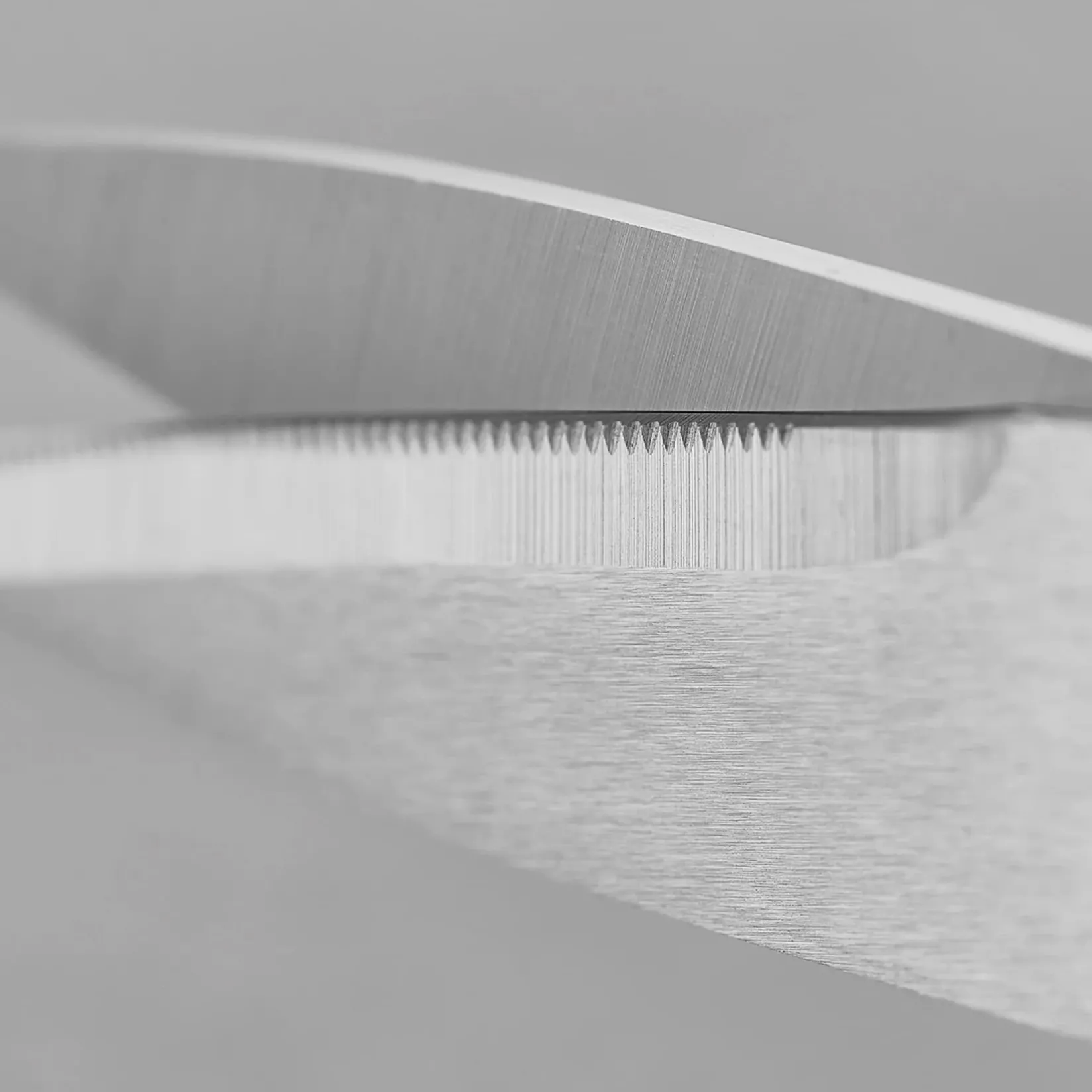 Kitchen Scissors Kitchen Tools & Utensils