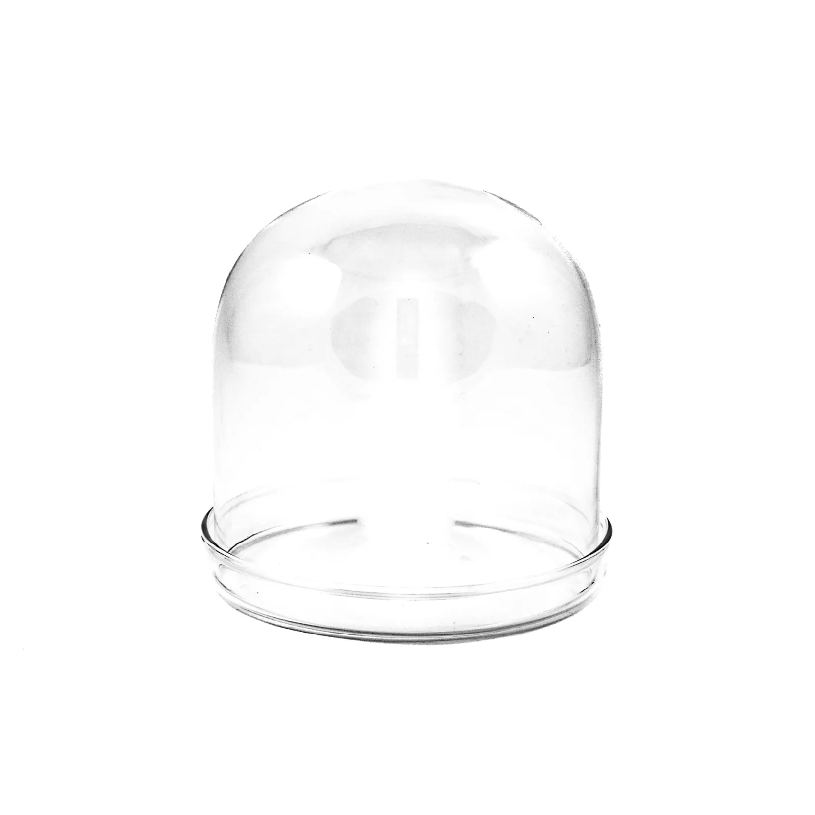 Best 4x Small Domed Glass Cloche, 8cm dia Tableware Brands|Serveware