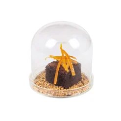 Best 4x Small Domed Glass Cloche, 8cm dia Tableware Brands|Serveware