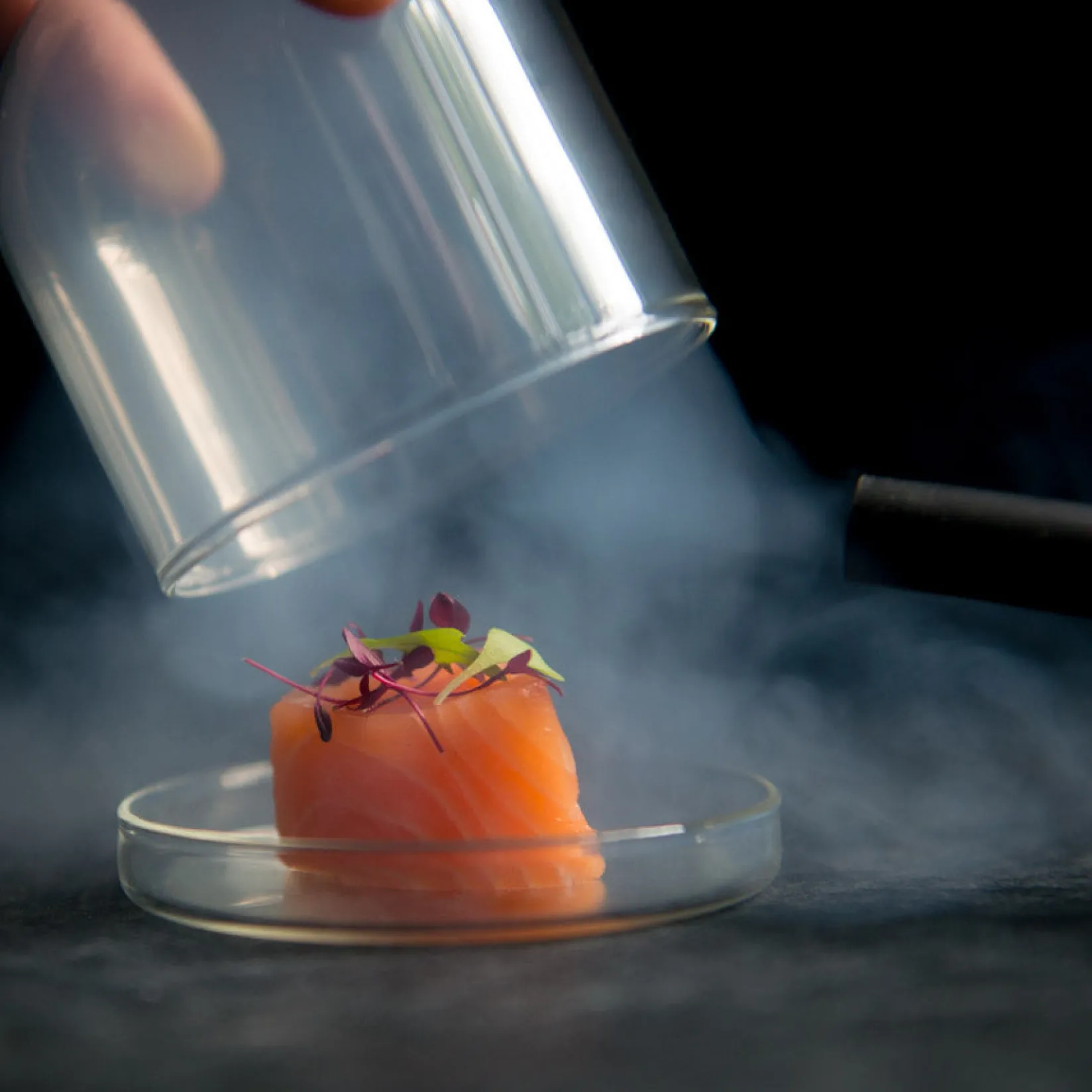 Best 4x Small Domed Glass Cloche, 8cm dia Tableware Brands|Serveware